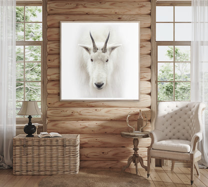 Mountain Goat with Natural Wood Frame
40" x 40"