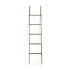 Boothe Ladder