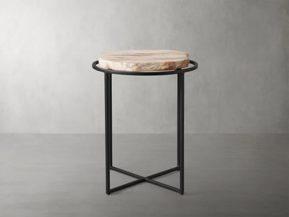 Petrified Side Table