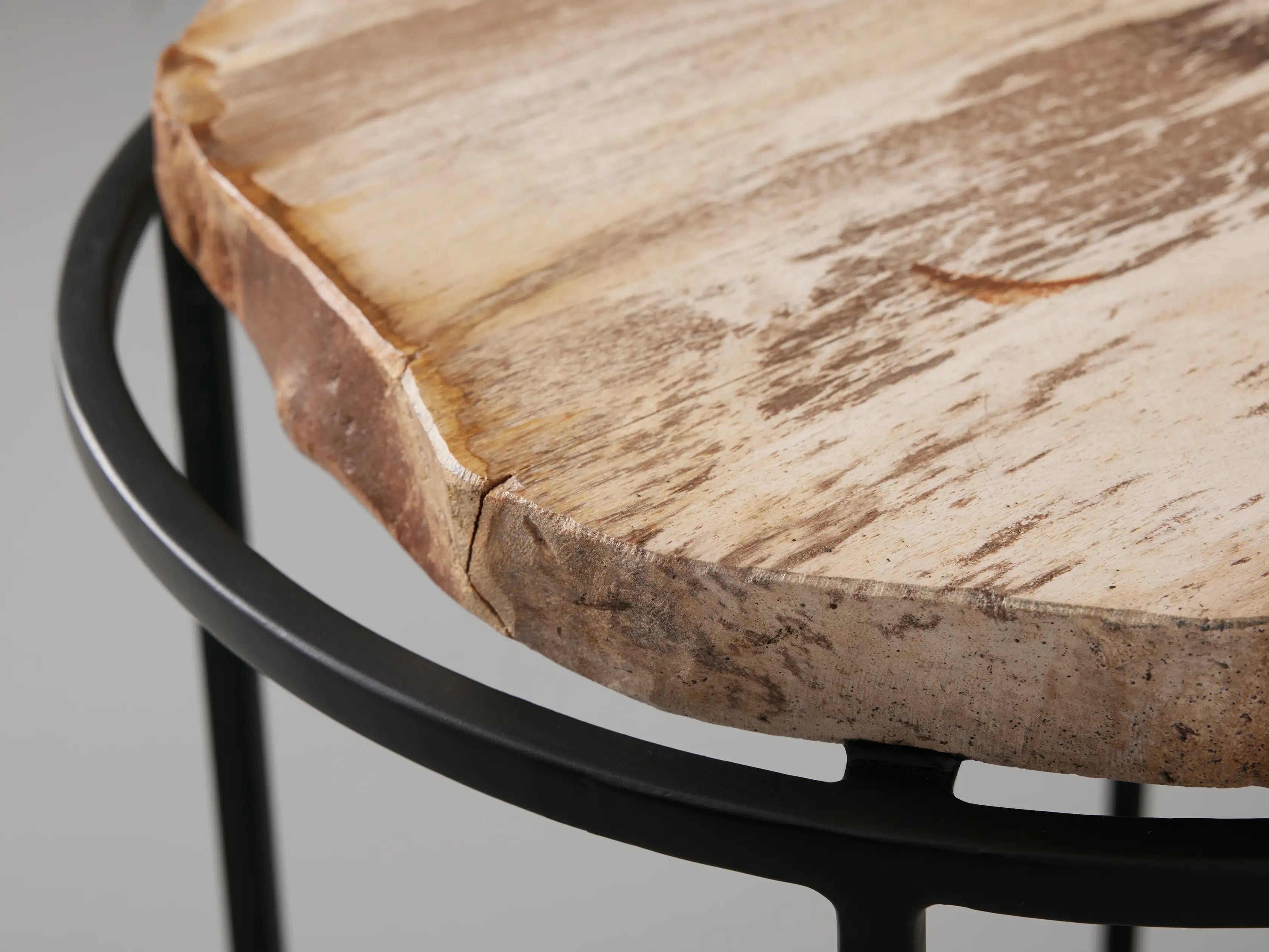 Petrified Side Table