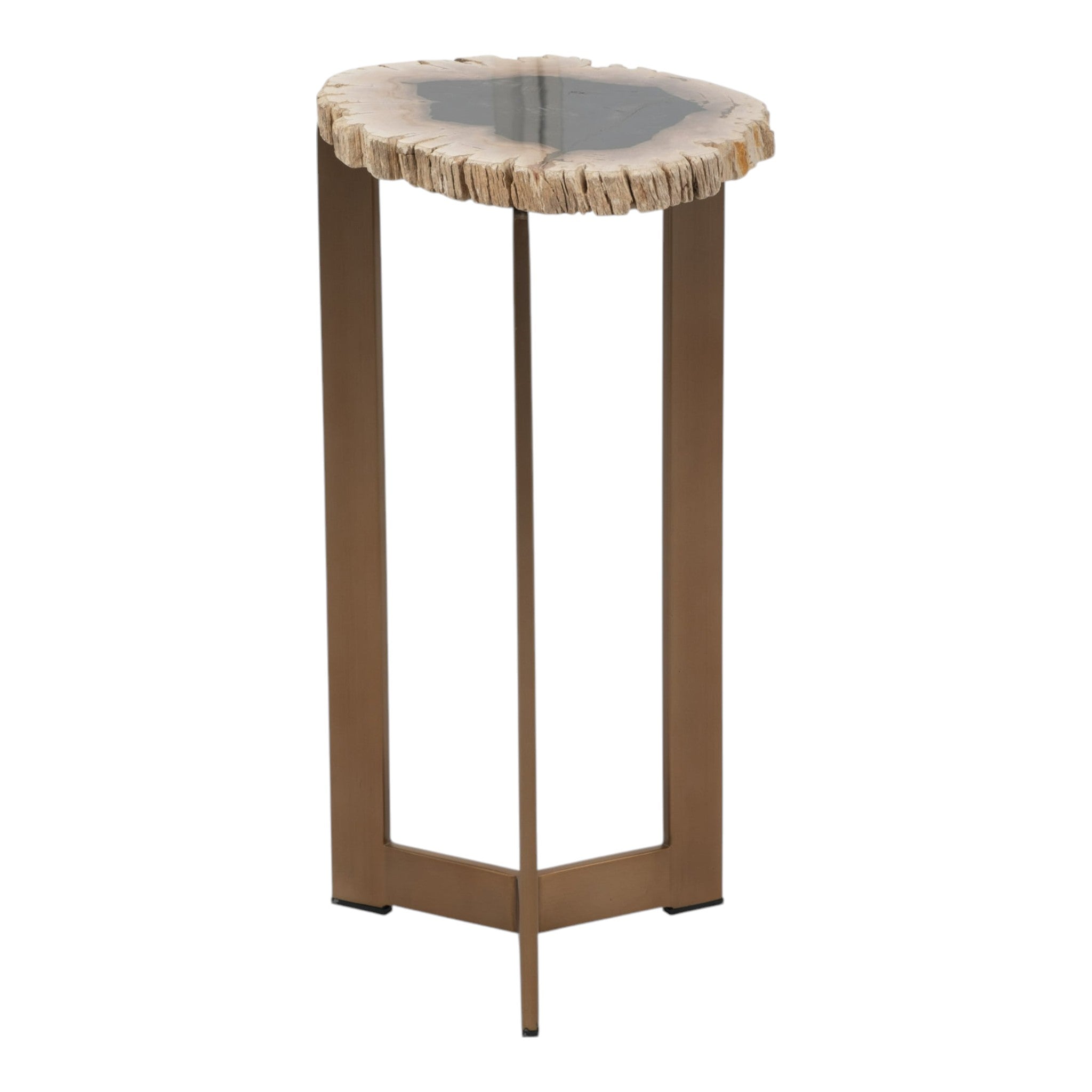 Petrified Wood Accent Table

21" H