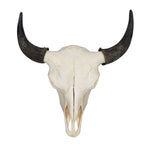 Bison Skull with Horn Caps, 2 Sizes