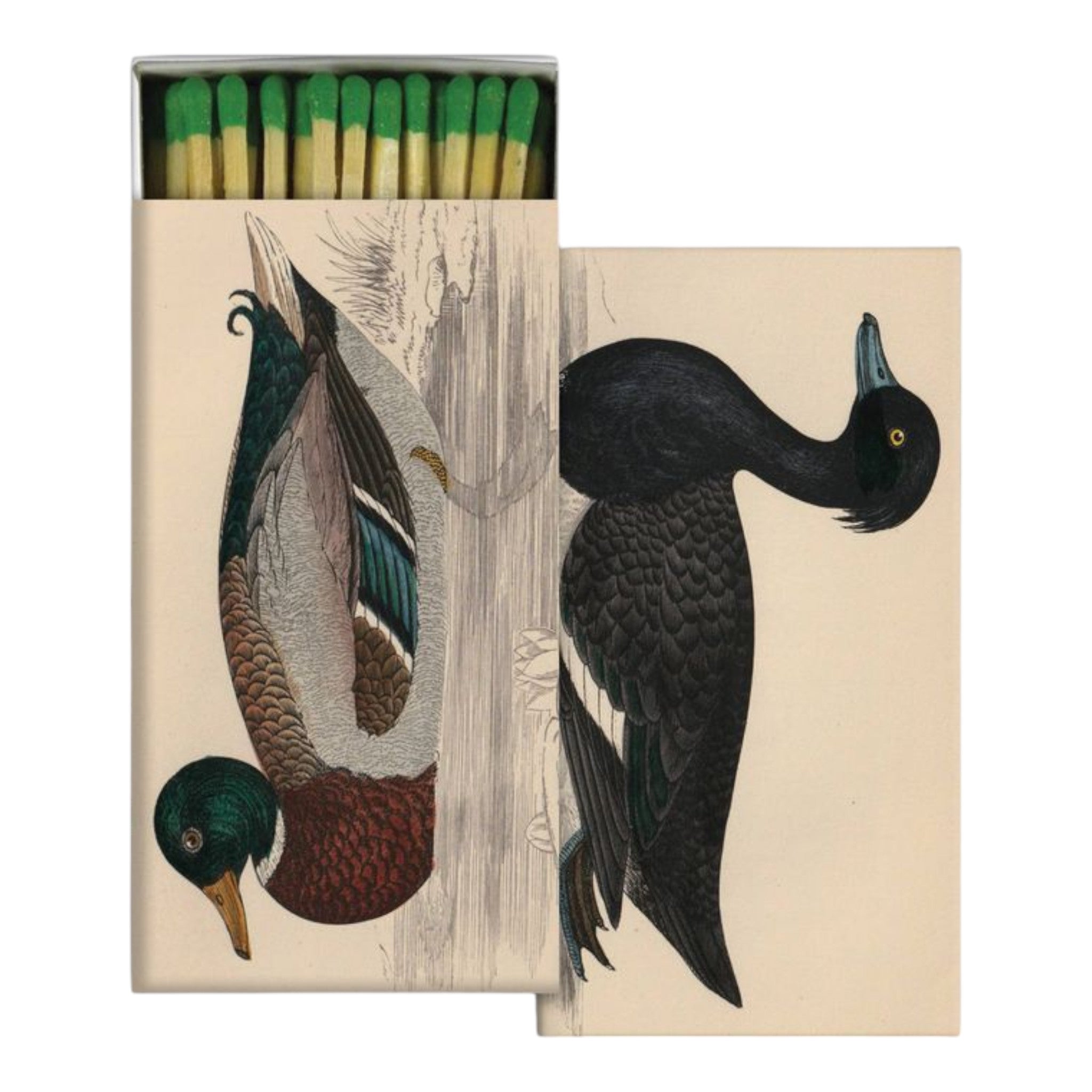 Mallard Match Box, Set of 50