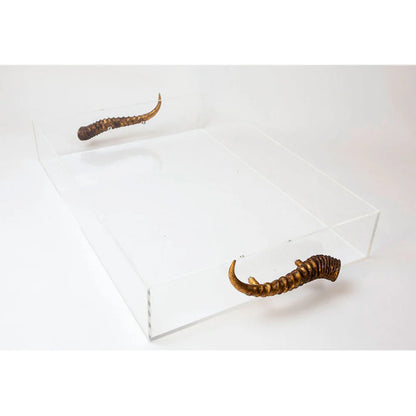 Acrylic Tray w/ Horn Handles, Silver