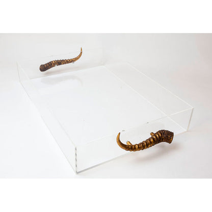 Acrylic Tray with Horn Handle, 4 Color Options