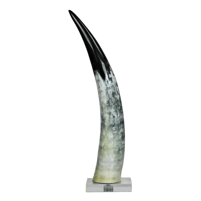 Black and White Cow Horn on Base Medium