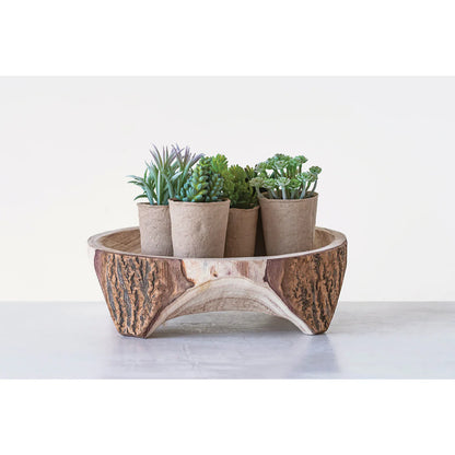 Faux Succulent in Paper Pot 5.5"H       6 Styles