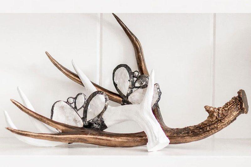 Embellished Antler, 4 Color Options