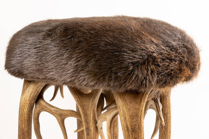 Elk Antler Stool with Beaver Fur