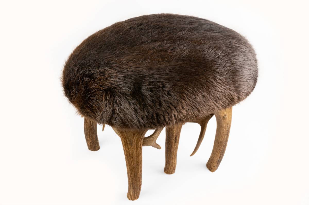 Elk Antler Stool with Beaver Fur