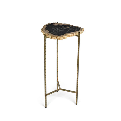 Porto Alegre Petrified Wood Side Table - Short