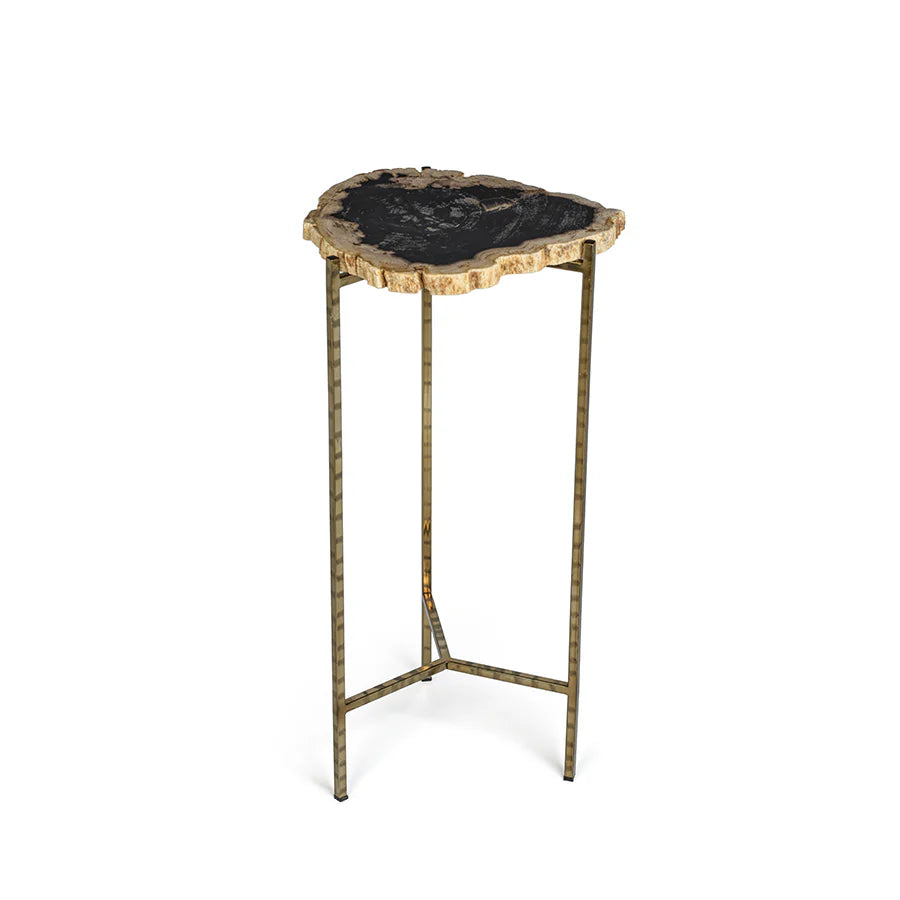 Porto Alegre Petrified Wood Side Table - Short