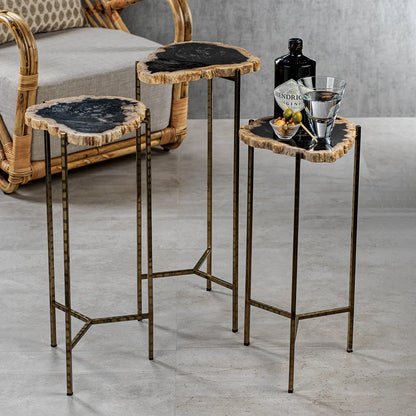 Porto Alegre Petrified Wood Side Table - Tall