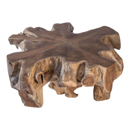 Teak Root Coffee Table