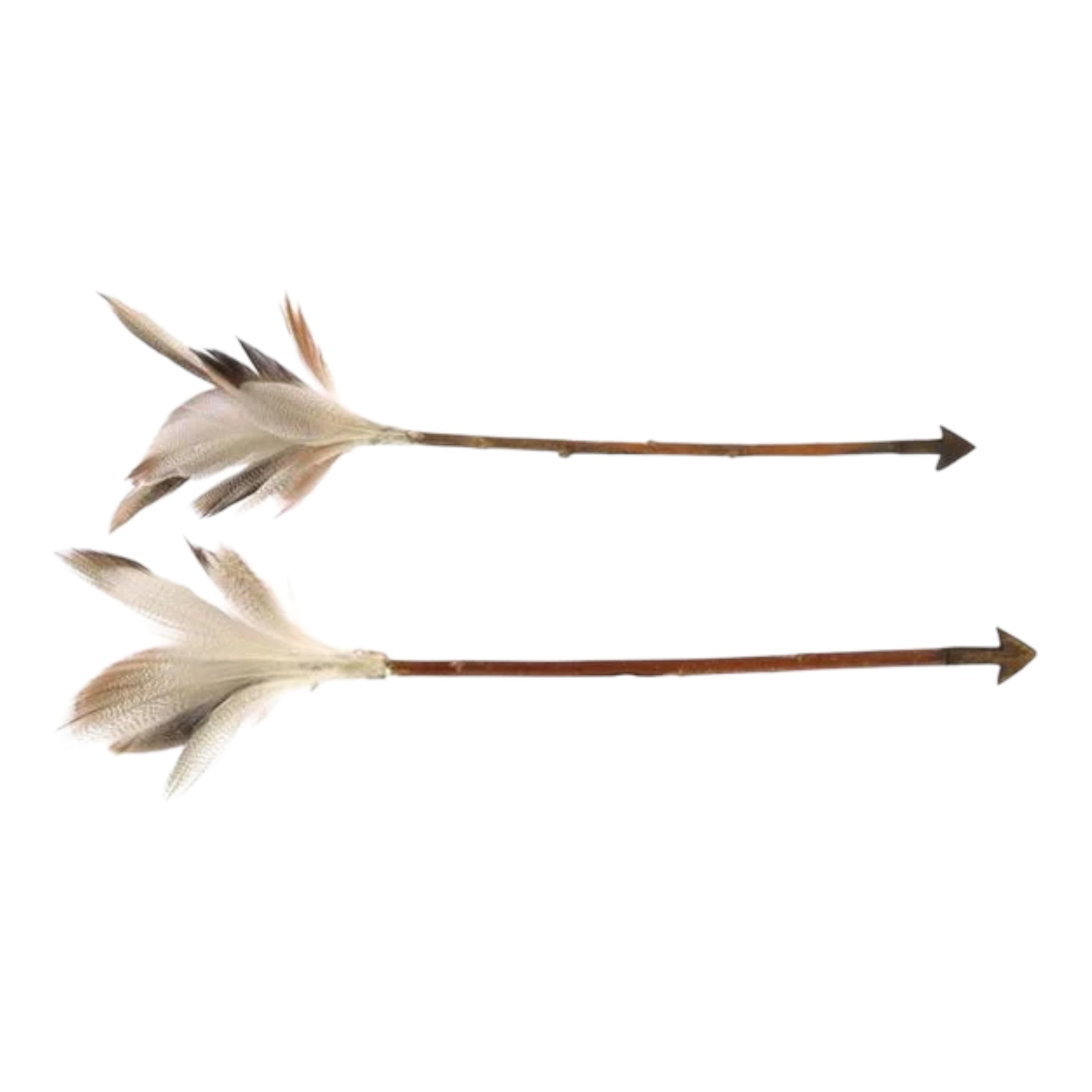 Twig Arrow w/ Feathers, 15.5" L