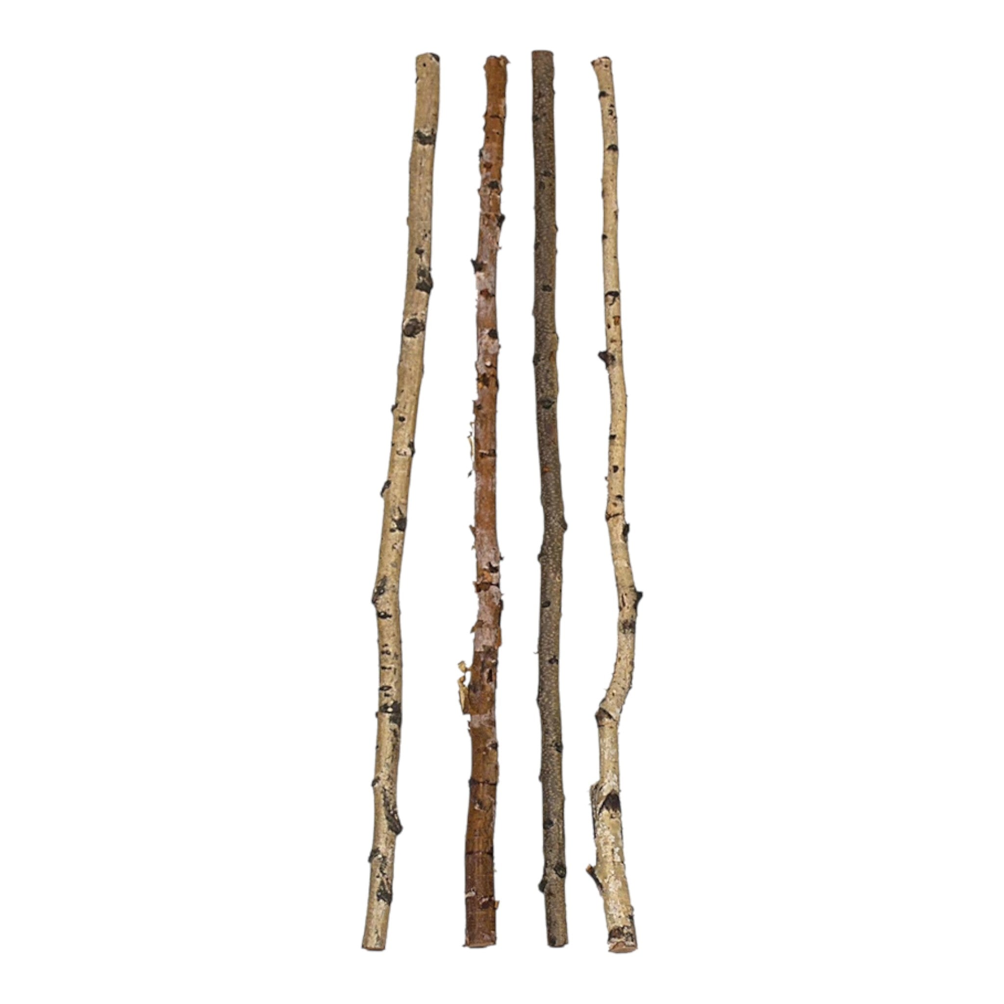 Birch Branch