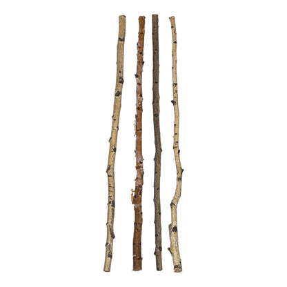 Birch Branch