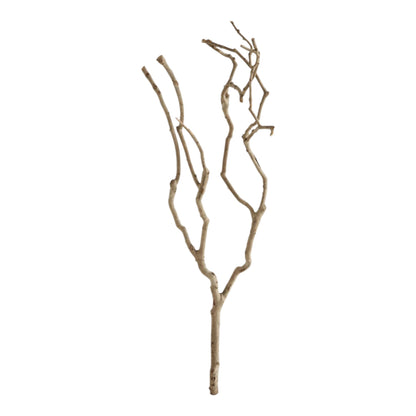 Tea Tree Branch 27.5"L x 12"W