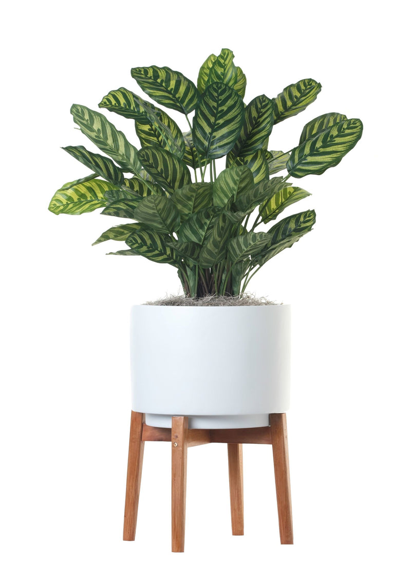 Chinese Evergreen Faux | 30" H