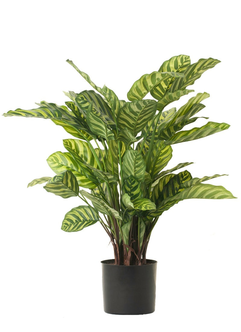 Chinese Evergreen Faux | 30" H