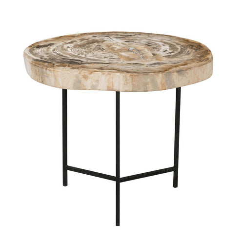 Riley Petrified Wood Side Table